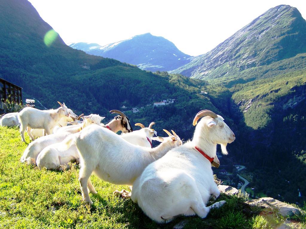 Westerås Gard Geiranger Exterior foto