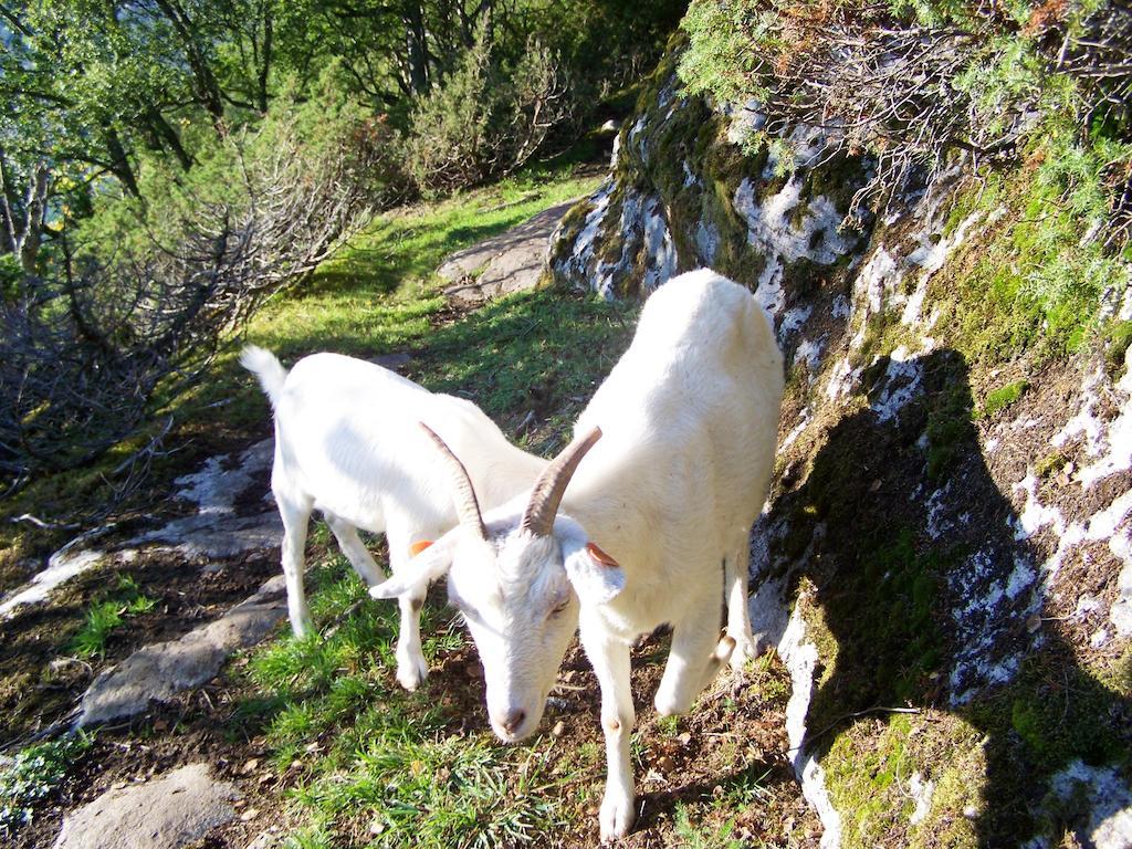 Westerås Gard Geiranger Exterior foto