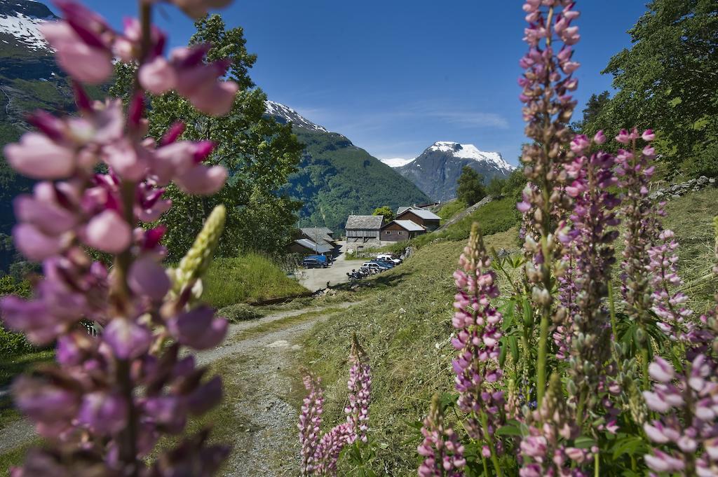 Westerås Gard Geiranger Exterior foto
